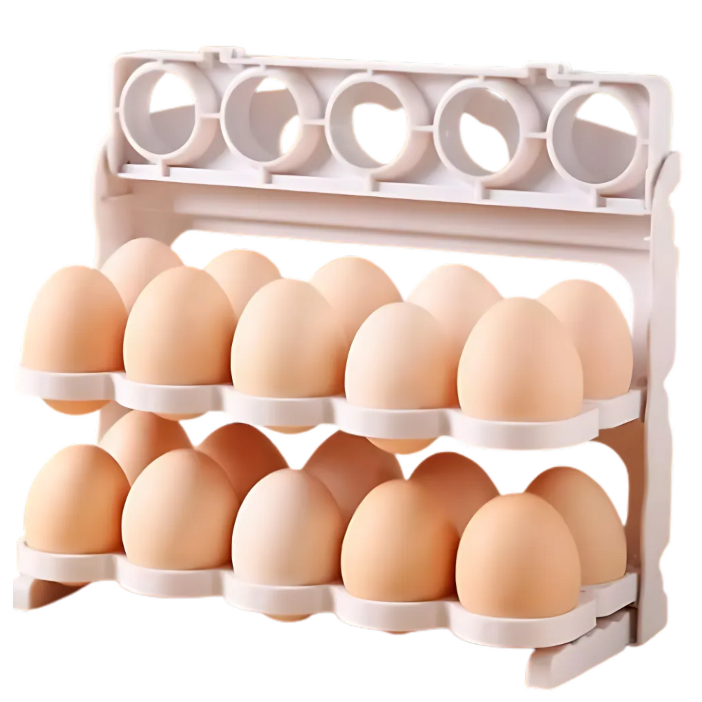Organizador de Huevos