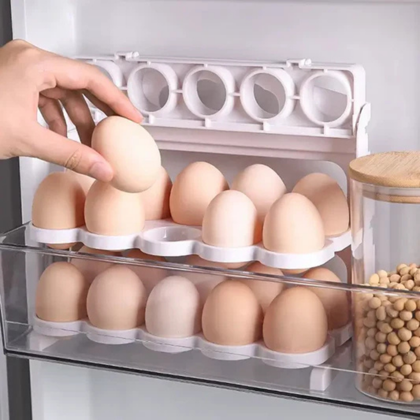 Organizador de Huevos